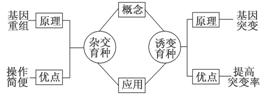 www.ziyuanku.com